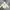 Adidas Casual Hoody Pria White
