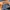 Adidas Gorpcore Windbreaker Pria navy photo 3