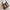 Coach Vintage Y2K Shoulder bag Wanita tan brown photo 3