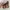 Coach Vintage Y2K Shoulder bag Wanita tan brown photo 5