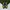 The North Face Gorpcore Casual Pria blue yellow photo 2