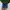 The North Face Gorpcore Casual Pria blue yellow photo 3