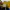 The North Face Gorpcore Casual Pria blue yellow photo 5