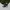 The North Face Y2K Gorpcore Wanita white black photo 1