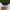 The North Face Y2K Gorpcore Wanita white black photo 3