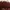 Champion Casual Sweater Pria burgundy photo 4