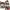 Coach Bags & purse Wanita white photo 3