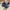 Puma Casual Sneakers Pria black blue photo 3