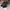 Puma Casual Sneakers Pria black blue photo 2