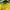Japanese brand Streetwear Casual T-shirt Wanita yellow photo 3