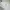Guess Casual Sweatshirt Pria white photo 2