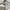 Billabong Streetwear Y2K Short Pria white photo 6