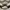 Nike Sneakers Pria black cream photo 2