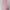 Casual Casual dress Wanita pink photo 4