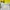 Sportswear Windbreaker Pria multicolor photo 5