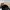 Topi Snapback Cashmere Thoughts Big Bordir Flat Fifty photo 3