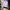 MLB Sportswear Hat Pria Purple