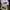 MLB Sportswear Hat Pria purple photo 2