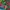 Casual Bomber jacket Pria green photo 3