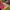 Casual Bomber jacket Pria green photo 8