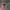 Casual Bomber jacket Pria green photo 1