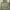 Y2K Gorpcore Parka Pria green photo 1