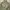 Y2K Gorpcore Parka Pria green photo 2