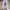 Nike Casual Sneakers Pria black photo 4