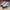 Puma Casual Sneakers Pria multicolor photo 2