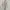 Polo Ralph Lauren Casual pants Pria tan cream photo 3