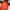 Montbell Gorpcore Track jacket Pria red photo 7