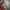 Montbell Gorpcore Track jacket Pria red photo 4