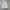 Minimalist Casual Skirt Wanita white photo 5