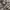Oakley Streetwear Y2K Denim jacket Pria tan photo 8