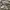 Oakley Streetwear Y2K Denim jacket Pria tan photo 7