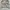 Oakley Streetwear Y2K Denim jacket Pria tan photo 6