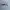 Reebok Windbreaker Pria white photo 2
