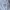 Reebok Windbreaker Pria white photo 5