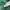 Adidas Casual T-shirt Pria green photo 6