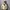 Uniqlo Streetwear Casual Track jacket Wanita white photo 8