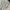 Uniqlo Streetwear Casual Track jacket Wanita white photo 6