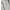 Uniqlo Streetwear Casual Track jacket Wanita white photo 5