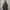 Uniqlo Streetwear Casual Parka Pria black photo 4