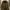 Streetwear Sportswear Puffer jacket Pria tan brown photo 1