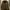 Streetwear Sportswear Puffer Jacket Pria Tan Brown