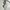 Burberry Luxury Scarf Wanita multicolor photo 1
