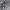 Japanese brand Vintage Biker Leather jacket Pria gray photo 7