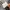 Japanese brand Vintage Biker Leather jacket Pria gray photo 8