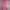 Pakaian adat Muslim Bodycon dress Wanita pink photo 1