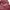 Stussy Minimalist Casual Hoody Pria multicolor gold silver purple burgundy white green tan navy red pink brown khaki black orange gray cream blue yellow photo 7